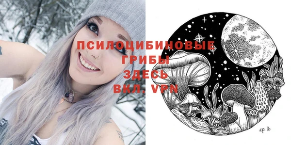 твердый Армянск