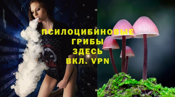 винт Алексин