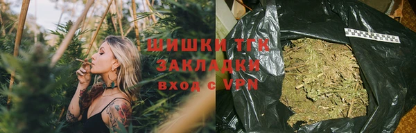 спиды Ельня