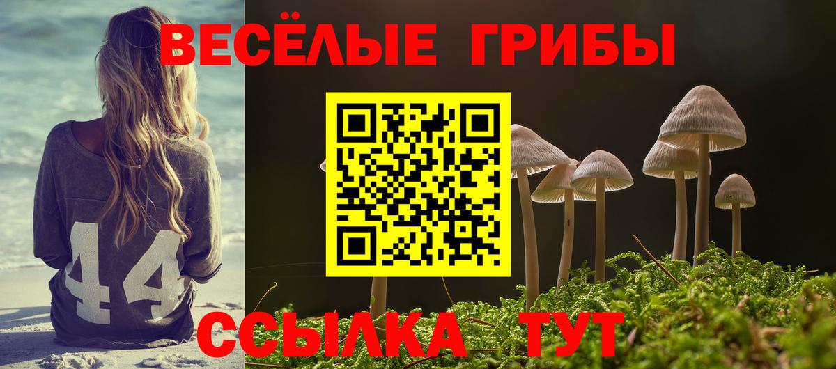 Галлюциногенные грибы MAGIC MUSHROOMS  Галлюциногенные грибы ЛСД  Усть-Джегута  Вход с VPN 